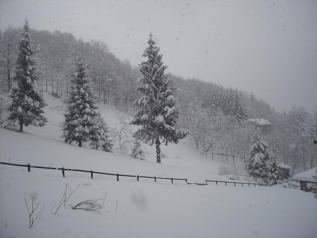 B&B Casabasoti Valli del Pasubio Dış mekan fotoğraf