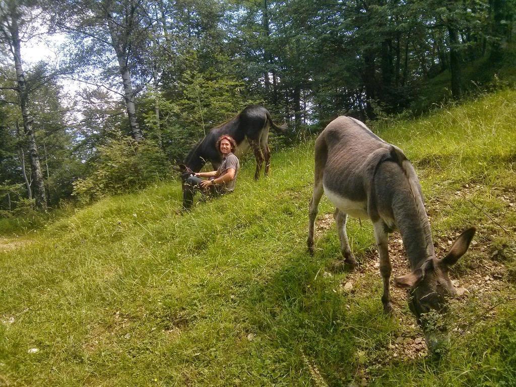 B&B Casabasoti Valli del Pasubio Dış mekan fotoğraf